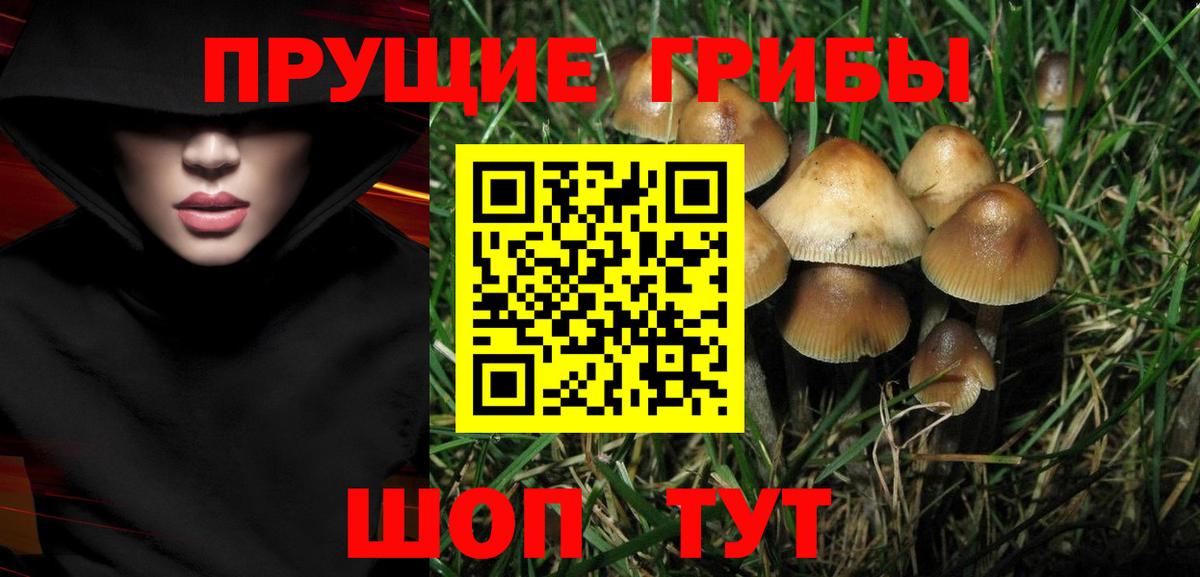 Спасск-Дальний  Псилоцибиновые грибы мицелий  Псилоцибиновые грибы Magic Shrooms  Вход с VPN 